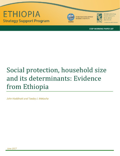 Social protection, household size and its determinants: Evidence from Ethiopia