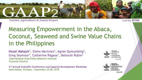Measuring empowerment in the abaca, coconut, seaweed and swine value chains in the Philippines