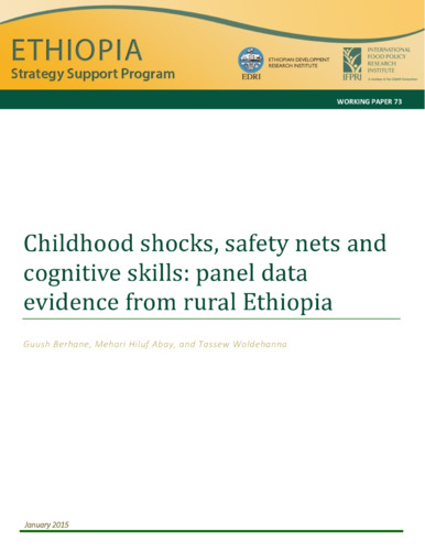 Childhood shocks, safety nets and cognitive skills: Panel data evidence from rural Ethiopia