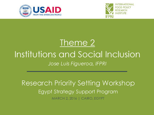 Egypt Strategy Support Program: Institutions and social inclusion