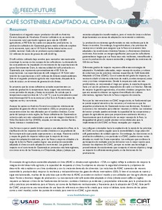 Café sostenible adaptado al clima en Guatemala