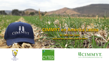 CIMMYT en América Latina