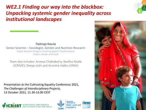 WE2.1 Finding our way into the blackbox: Unpacking systemic gender inequality across institutional landscapes