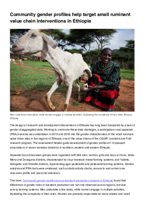 Community gender profiles help target small ruminant value chain interventions in Ethiopia