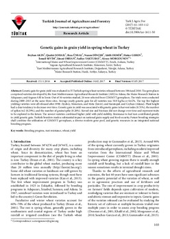 Genetic gains in grain yield in spring wheat in Turkey