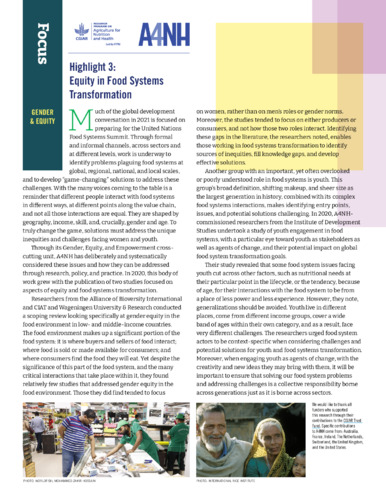 A4NH 2020 annual report highlights: Gender