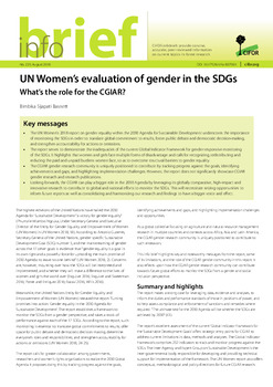 UN Women’s evaluation of gender in the SDGs: What’s the role for the CGIAR?