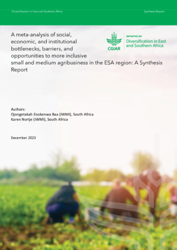 A meta-analysis of social, economic, and institutional bottlenecks, barriers, and opportunities to more inclusive small and medium agribusiness in the ESA Region: a synthesis report