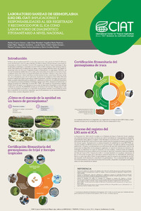 Laboratorio Sanidad de Germoplasma (LSG) del CIAT: Implicaciones y responsabilidades al ser registrado y reconocido por el ICA como laboratorio de diagnóstico fitosanitario a nivel nacional