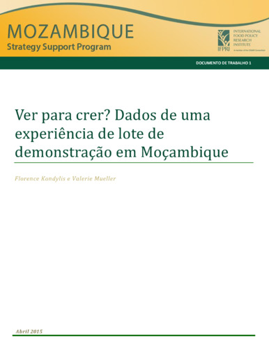 Seeing is Believing? Evidence from a Demonstration Plot Experiment in Mozambique