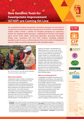 New Genomic Tools for Sweetpotato Improvement (GT4SP) are Coming On-Line
