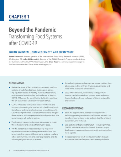 Beyond the pandemic: Transforming food systems after COVID-19