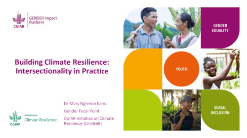 Building climate resilience: Intersectionality in practice