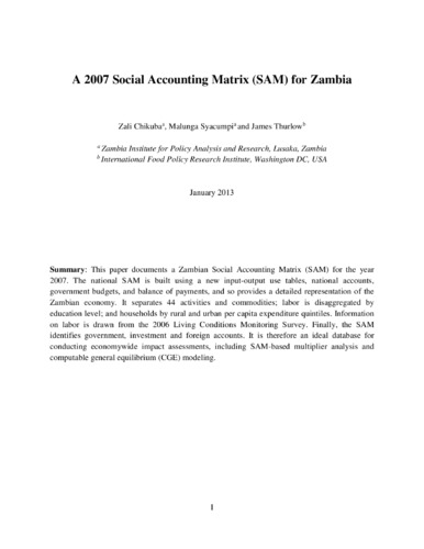 A 2007 Social Accounting Matrix (SAM) for Zambia