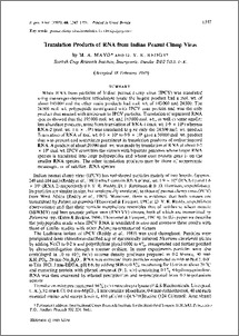 Translation products of RNA from Indian peanut clump virus
