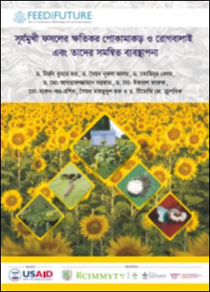 Destructive insect pests and diseases of sunflower and their integrated management