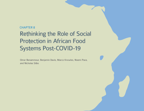 Rethinking the role of social protection in African food systems post-COVID-19