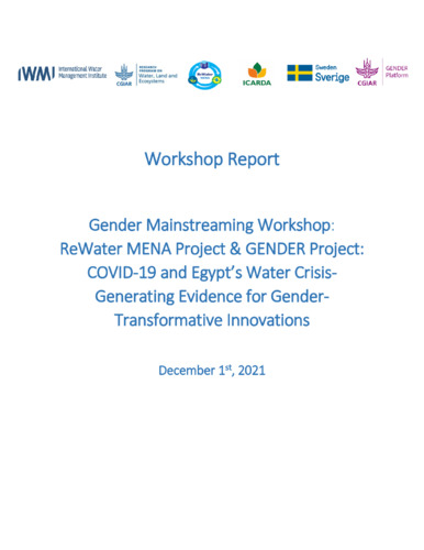Gender Mainstreaming Workshop: ReWater MENA Project & GENDER Project: COVID-19 and Egypt's Water Crisis - Generating Evidence for Gender-Transformative Innovations