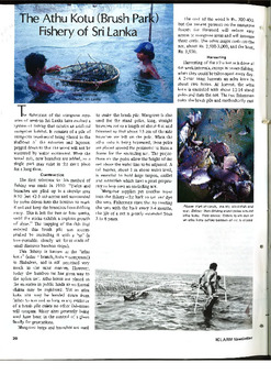 The athu kotu (brush park) fishery of Sri Lanka