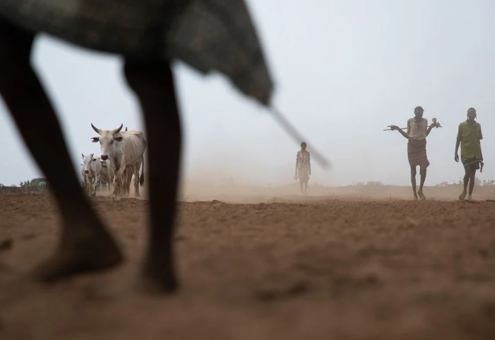 Drought: We know what to do, why don't we do it?