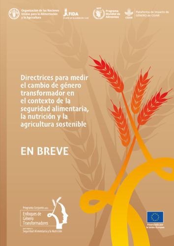 Directrices para medir el cambio de género transformador en el contexto de la seguridad alimentaria, la nutrición y la agricultura sostenible