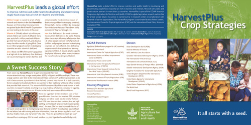 HarvestPlus Crop Strategies