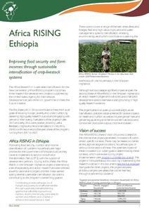 Africa RISING Ethiopia: Improving food security and farm incomes through sustainable intensification of crop-livestock systems