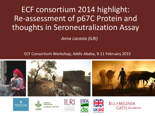 Re-assessment of p67C Protein and thoughts in Seroneutralization Assay