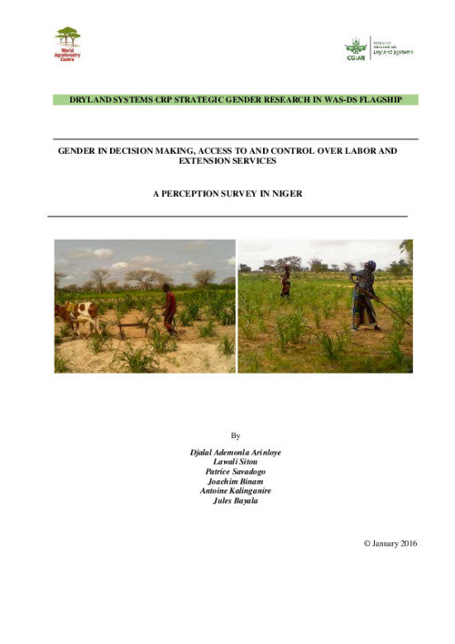 Gender in decision making, access to and control over labor and extension services: A Perception survey in Niger