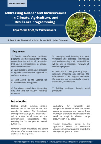 Addressing Gender and Inclusiveness in Climate, Agriculture, and Resilience Programming