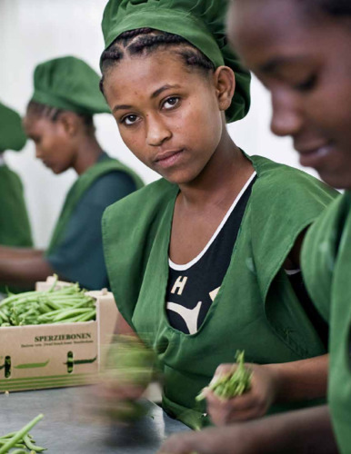 Food policy in 2015-2016: Reshaping the global food system for sustainable development