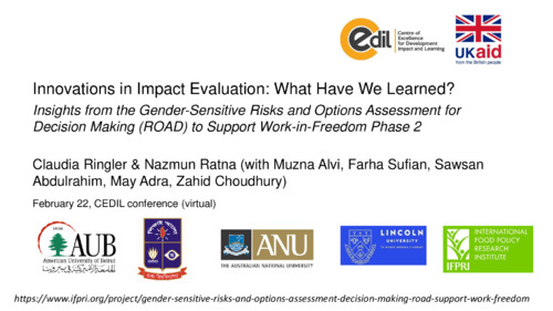 Innovations in Impact Evaluation: What Have We Learned? Insights from the Gender-Sensitive Risks and Options Assessment for Decision Making (ROAD) to Support Work-in-Freedom Phase 2