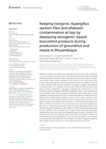 Keeping toxigenic Aspergillus section Flavi and aflatoxin contamination at bay by deploying atoxigenic-based biocontrol products during production of groundnut and maize in Mozambique