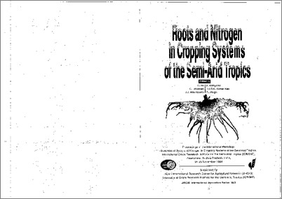 Nitrogen Budget in soil under Different Cropping system