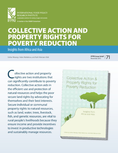 Collective action and property rights for poverty reduction: Insights from Africa and Asia