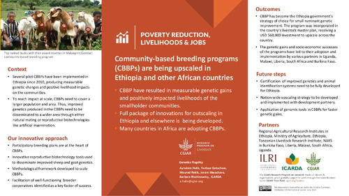 Community-based breeding programs (CBBPs) are being upscaled in Ethiopia and other African countries