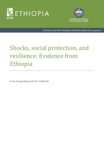 Shocks, social protection, and resilience: Evidence from Ethiopia