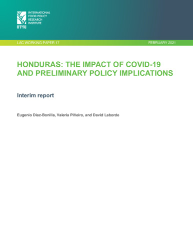 Honduras: The impact of COVID-19 and preliminary implications: Interim report