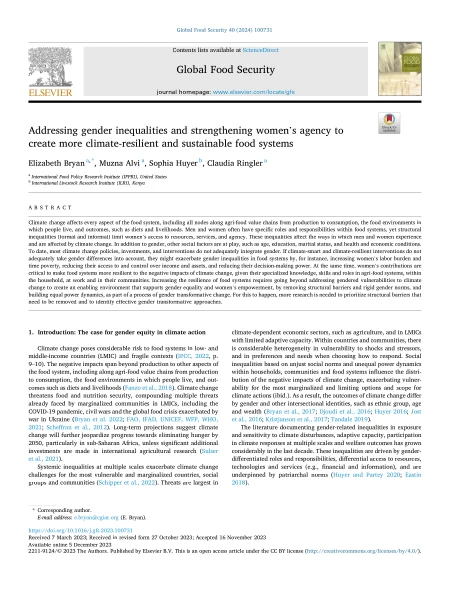 Addressing gender inequalities and strengthening women's agency to create more climate-resilient and sustainable food systems