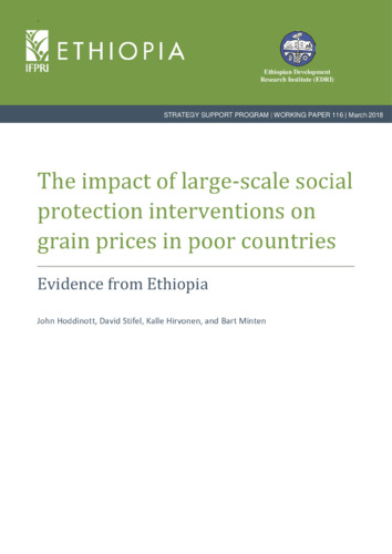 The impact of large-scale social protection interventions on grain prices in poor countries: Evidence from Ethiopia