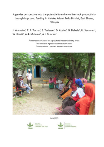 A gender perspective into the potential to enhance livestock productivity through improved feeding in Haleku, Adami Tullu District, East Shewa, Ethiopia