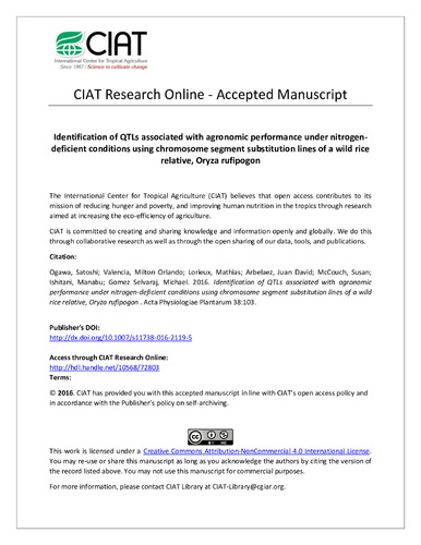 Identification of QTLs associated with agronomic performance under nitrogen-deficient conditions using chromosome segment substitution lines of a wild rice relative, Oryza rufipogon