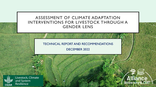 Assessment of climate change adaptation interventions for livestock through a gender lens