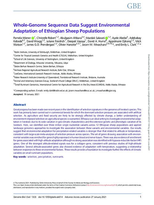 Whole-Genome Sequence Data Suggest Environmental Adaptation of Ethiopian Sheep Populations