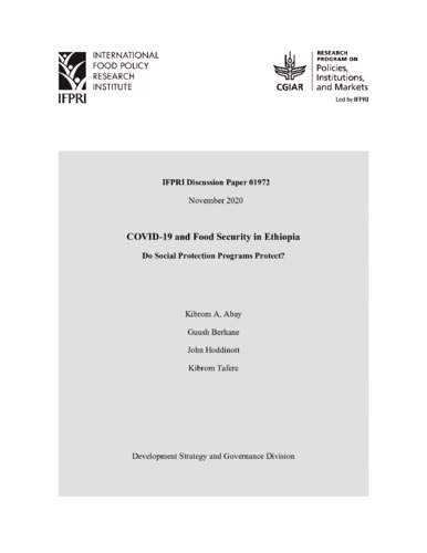 COVID-19 and food security in Ethiopia: Do social protection programs protect?