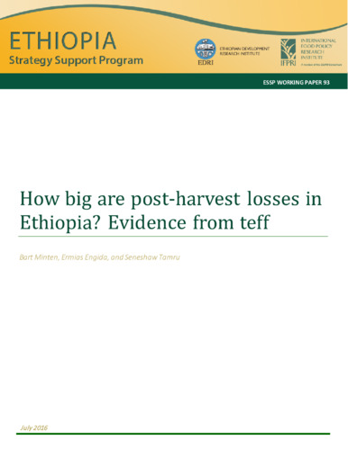 How big are post-harvest losses in Ethiopia? Evidence from teff
