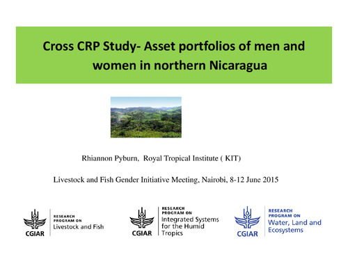 Cross CRP Study: Asset portfolios of men and women in northern Nicaragua