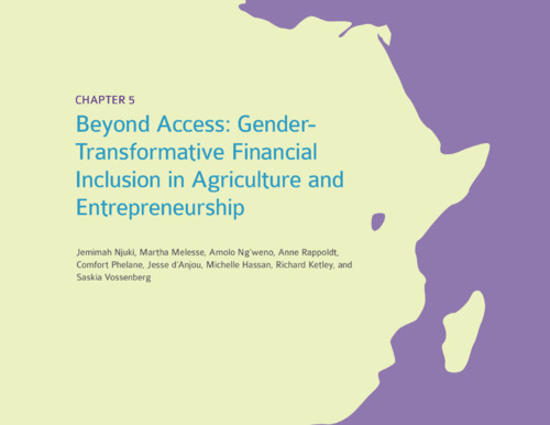 Beyond access: Gender- transformative financial inclusion in agriculture and entrepreneurship
