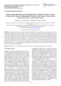 Improving Drought Tolerance in Sorghum bicolor L. Moench: Marker-Assisted Transfer of the Stay-Green Quantitative Trait Loci (QTL) from a Characterized Donor Source into a Local Farmer Variety