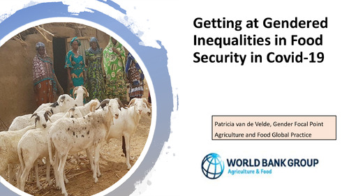 Getting at Gendered Inequalities in Food Security in Covid-19